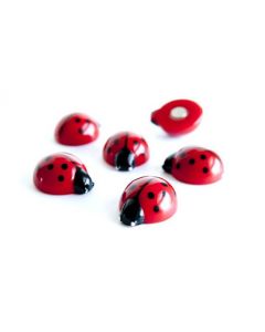 6 x Kühlschrankmagnete Ladybug 20x17x10mm Magnete für Pinnwand Magnettafel